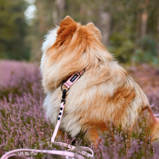 Smycz wodoodporna Biothane®