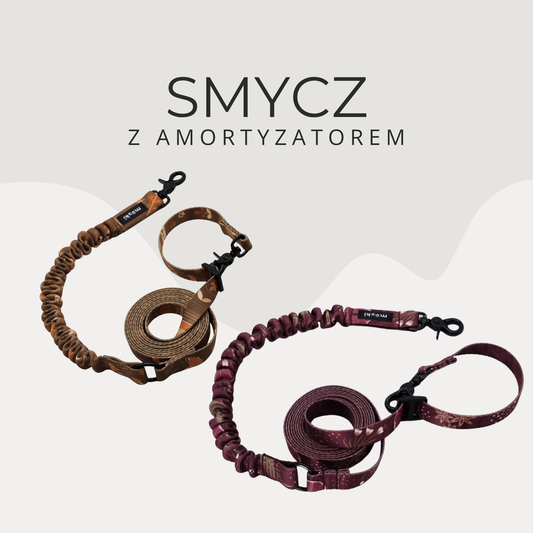 Smycz z amortyzatorem