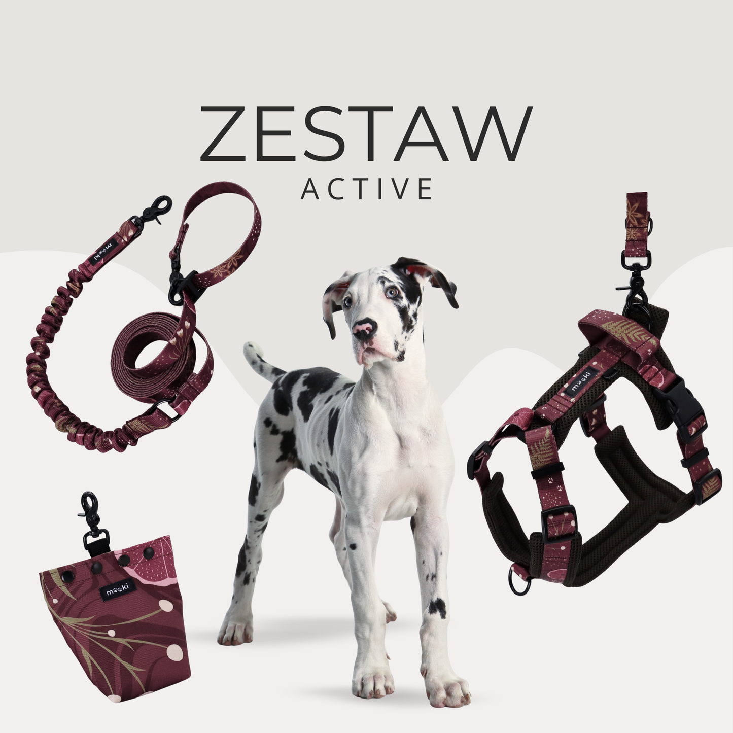 Zestaw Active