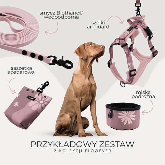 Zestaw Active+