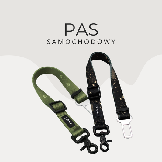 Pas samochodowy