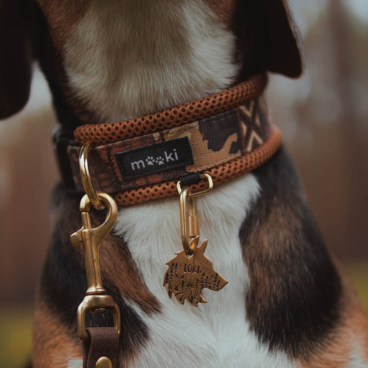 Obroża z klamrą Air Collar
