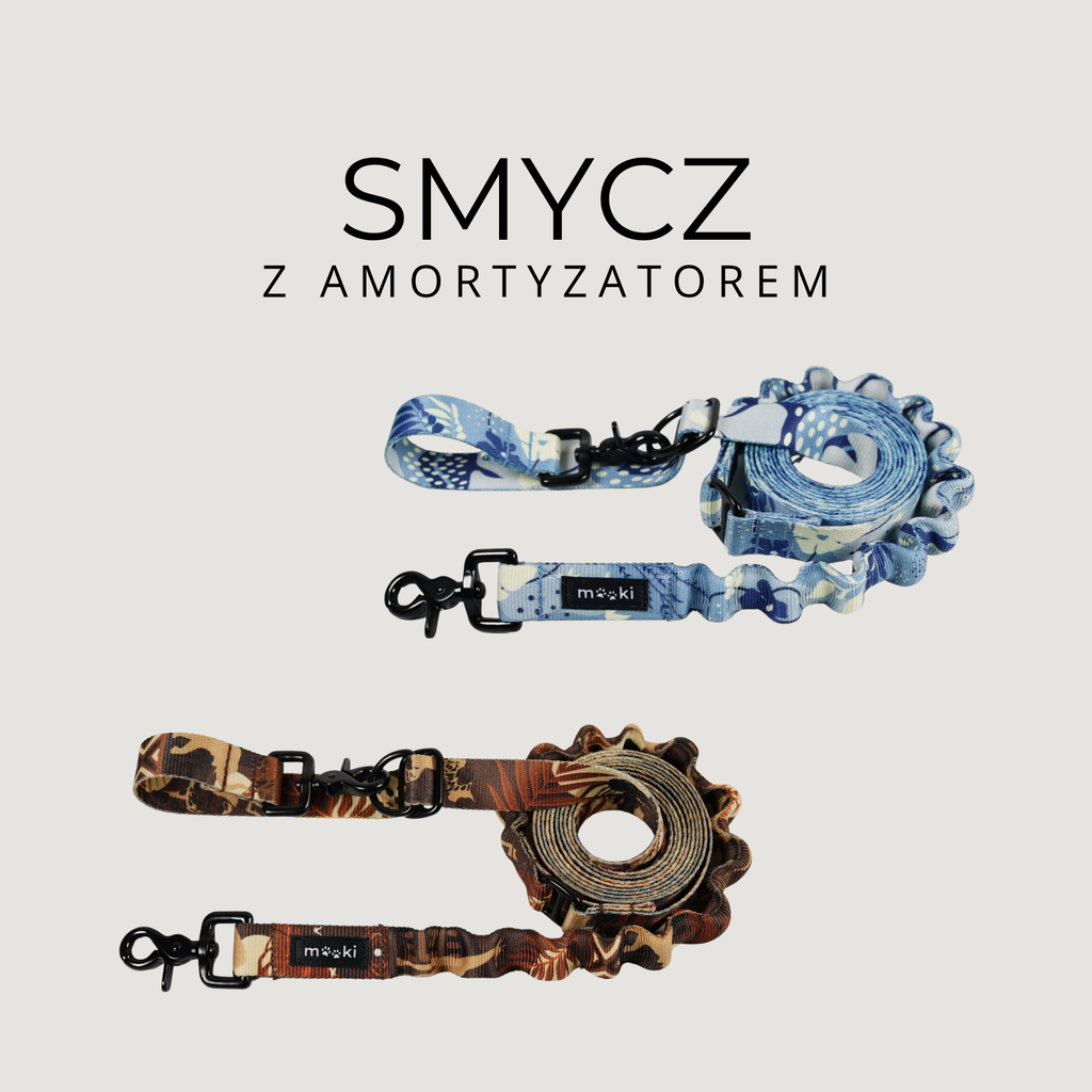 Smycz z amortyzatorem
