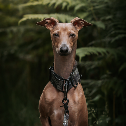 Obroża półzaciskowa Air Collar