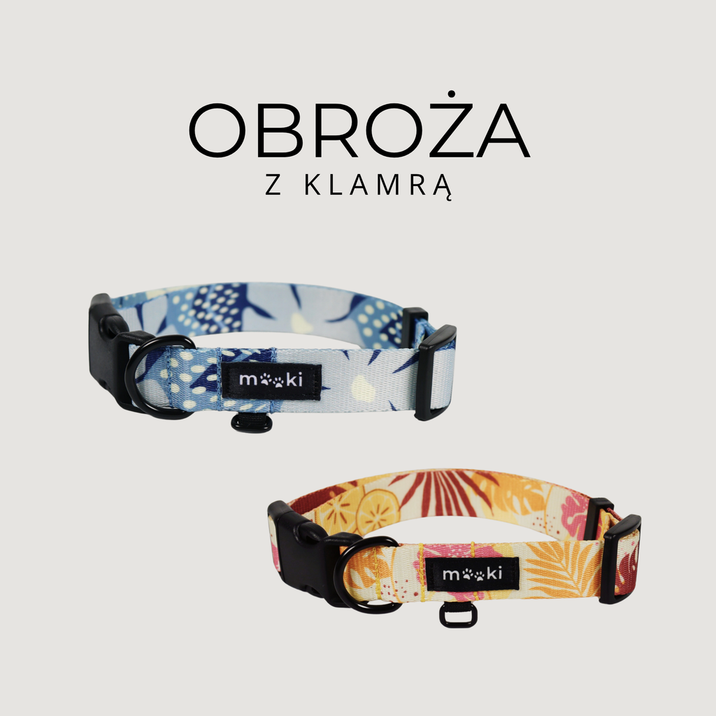 Obroża z klamrą
