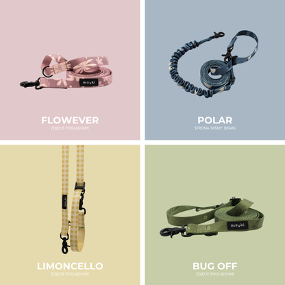 Smycz z amortyzatorem