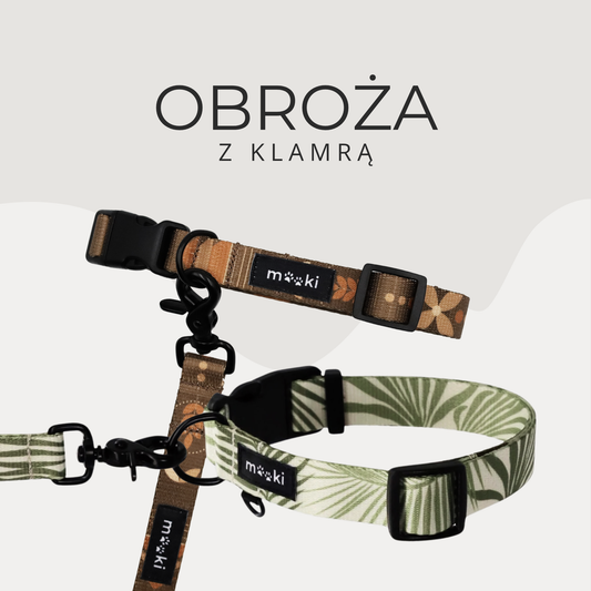 Obroża z klamrą