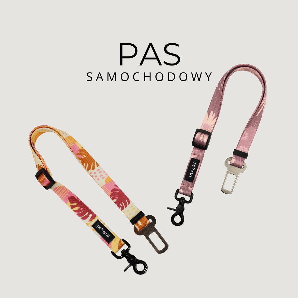 Pas samochodowy