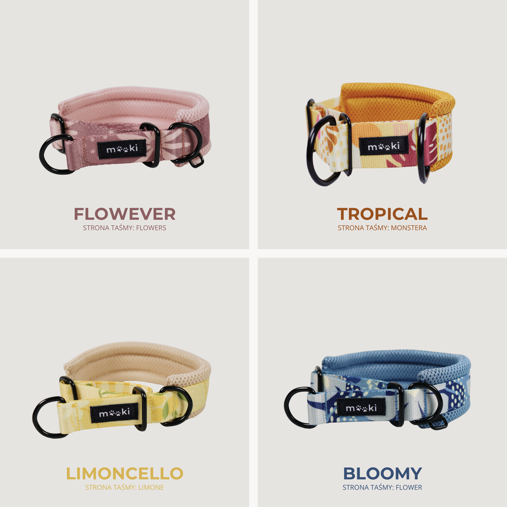 Obroża półzaciskowa Air Collar