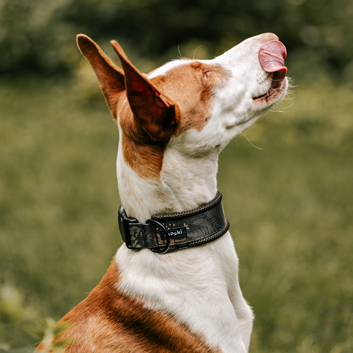 Obroża z klamrą Air Collar